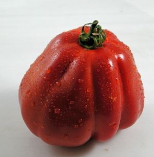 Tomate - Cuore Di Bue