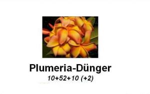 Plumeria-Dünger