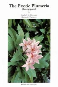 The Exotic Plumeria