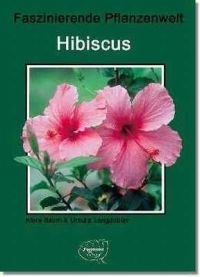 Faszinierende Pflanzenwelt - Hibiscus