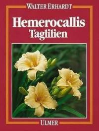 Hemerocallis - Taglilien