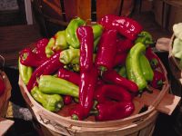 Capsicum annuum 'Cubanelle'
