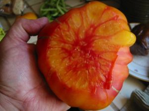 Tomate - Old German (Bio)