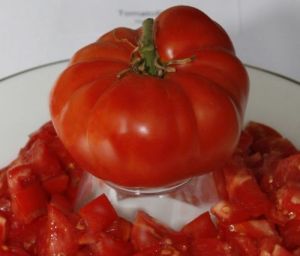 Tomate - Pantano Romanesco