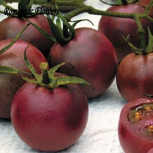 Tomate - Chocolate Cherry