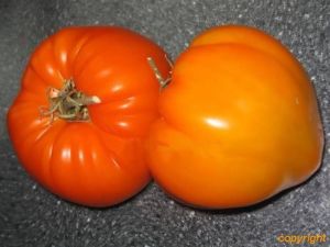 Tomate - German Orange Strawberry